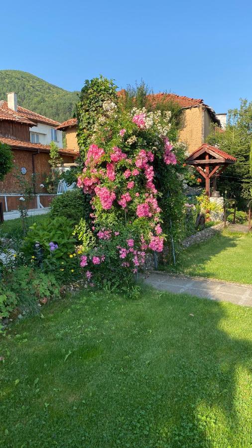 Guest House Simona Sapareva Banya Dış mekan fotoğraf